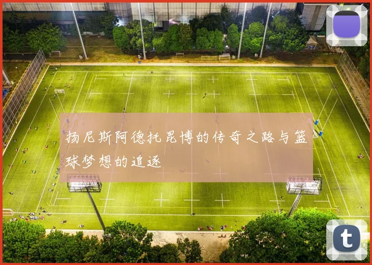 扬尼斯阿德托昆博的传奇之路与篮球梦想的追逐