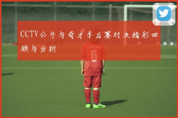 CCTV公牛与奇才季后赛对决精彩回顾与分析